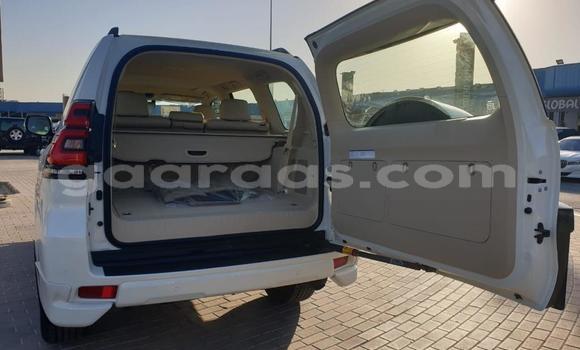 Acheter Import Voiture Toyota Prado Blanc à Dakar, Dakar Acheter Import Voiture Toyota Prado Blanc à Dakar, Dakar