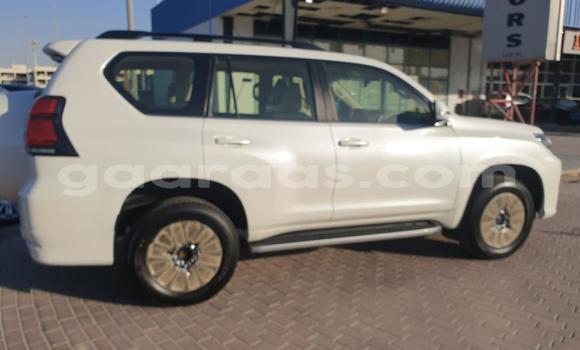 Acheter Import Voiture Toyota Prado Blanc à Dakar, Dakar Acheter Import Voiture Toyota Prado Blanc à Dakar, Dakar