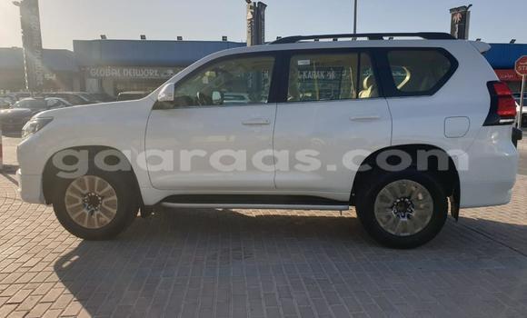 Acheter Import Voiture Toyota Prado Blanc à Dakar, Dakar Acheter Import Voiture Toyota Prado Blanc à Dakar, Dakar