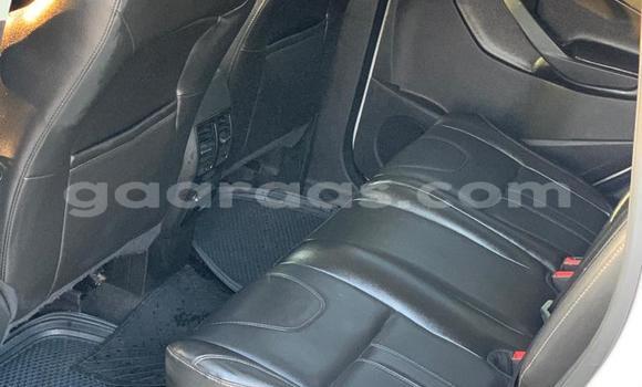 Buy Import Ford Escape White Car in Dakar in Dakar Buy Import Ford Escape White Car in Dakar in Dakar