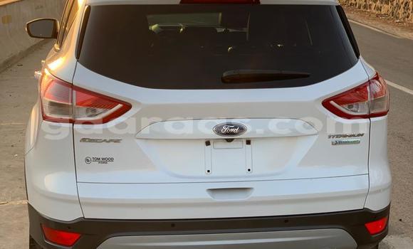 Buy Import Ford Escape White Car in Dakar in Dakar Buy Import Ford Escape White Car in Dakar in Dakar