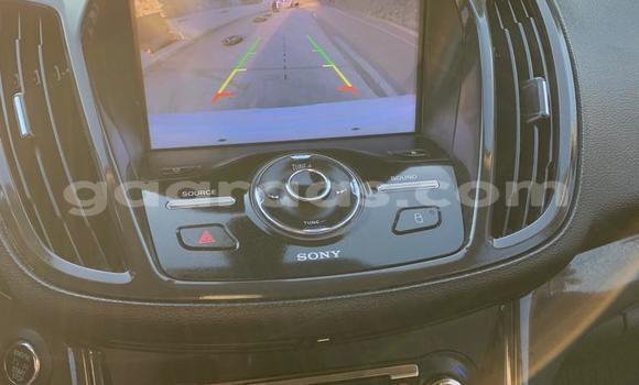 Buy Import Ford Escape White Car in Dakar in Dakar Buy Import Ford Escape White Car in Dakar in Dakar