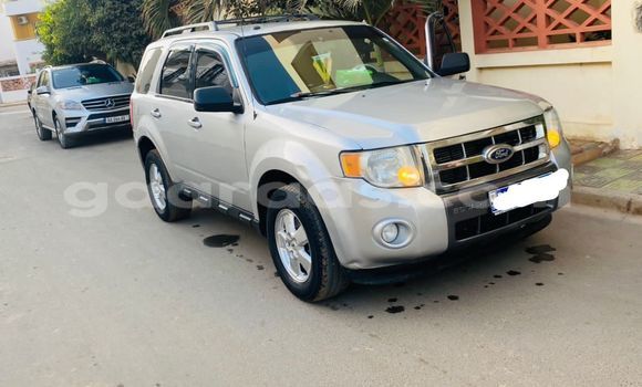 Acheter Occasion Voiture Ford Escape Gris à Dakar, Dakar Acheter Occasion Voiture Ford Escape Gris à Dakar, Dakar