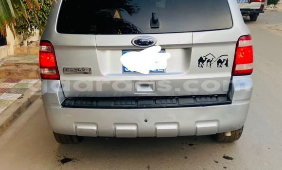 Acheter Occasion Voiture Ford Escape Gris à Dakar, Dakar Acheter Occasion Voiture Ford Escape Gris à Dakar, Dakar