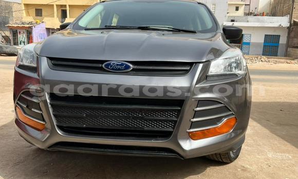 Acheter Import Voiture Ford Escape Gris à Dakar, Dakar Acheter Import Voiture Ford Escape Gris à Dakar, Dakar
