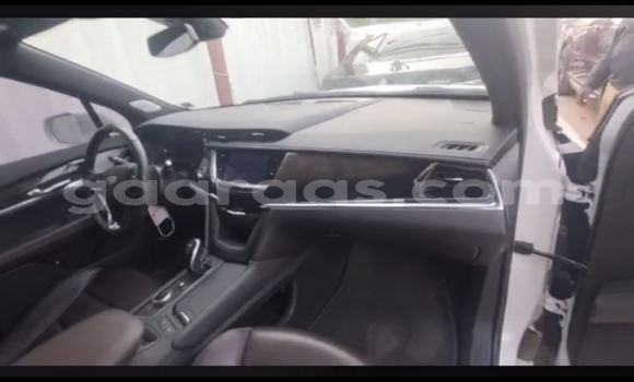 Buy Import Cadillac XTS White Car in Dakar in Dakar Buy Import Cadillac XTS White Car in Dakar in Dakar