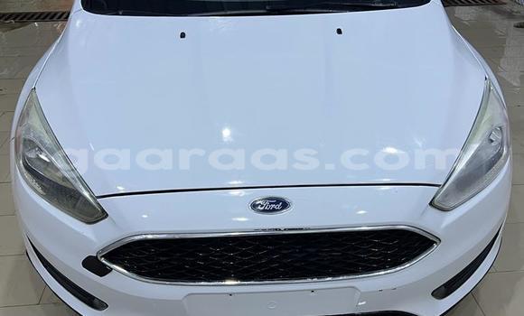 Acheter Neuf Voiture Ford Focus Blanc à Dakar, Dakar Acheter Neuf Voiture Ford Focus Blanc à Dakar, Dakar