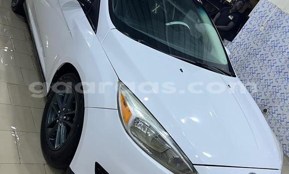 Acheter Neuf Voiture Ford Focus Blanc à Dakar, Dakar Acheter Neuf Voiture Ford Focus Blanc à Dakar, Dakar