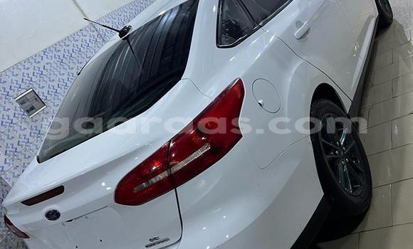 Acheter Neuf Voiture Ford Focus Blanc à Dakar, Dakar Acheter Neuf Voiture Ford Focus Blanc à Dakar, Dakar