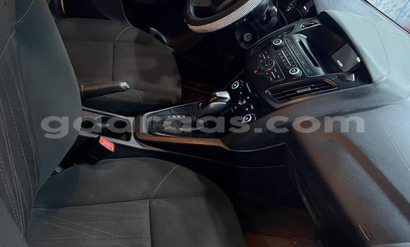 Acheter Neuf Voiture Ford Focus Blanc à Dakar, Dakar Acheter Neuf Voiture Ford Focus Blanc à Dakar, Dakar