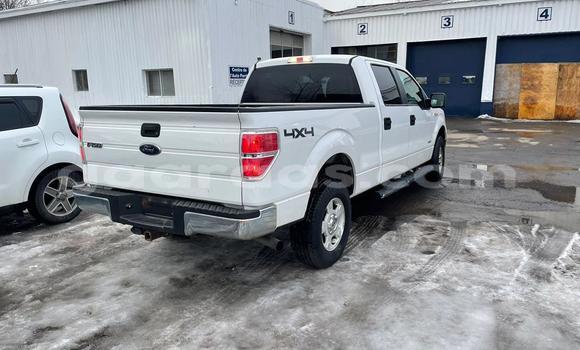 Acheter Import Voiture Ford F–150 Blanc à Dakar, Dakar Acheter Import Voiture Ford F–150 Blanc à Dakar, Dakar