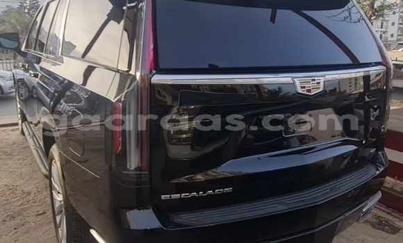 Buy Import Cadillac Escalade Black Car in Dakar in Dakar Buy Import Cadillac Escalade Black Car in Dakar in Dakar