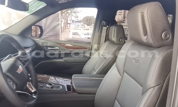 Buy Import Cadillac Escalade Black Car in Dakar in Dakar Buy Import Cadillac Escalade Black Car in Dakar in Dakar