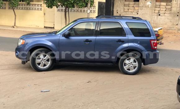 Dieundeu Occasion Ford Escape Blue Auto in Dakar in Dakar Dieundeu Occasion Ford Escape Blue Auto in Dakar in Dakar