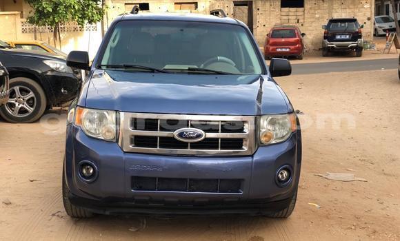 Dieundeu Occasion Ford Escape Blue Auto in Dakar in Dakar Dieundeu Occasion Ford Escape Blue Auto in Dakar in Dakar