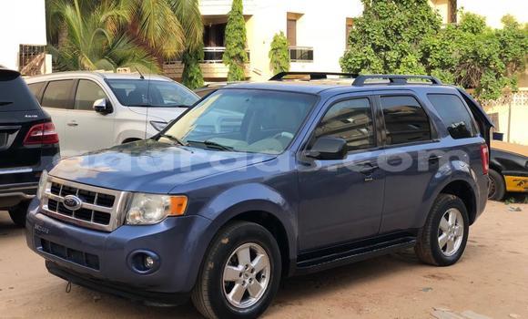 Dieundeu Occasion Ford Escape Blue Auto in Dakar in Dakar Dieundeu Occasion Ford Escape Blue Auto in Dakar in Dakar