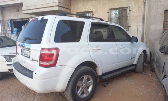Dieundeu Occasion Ford Escape White Auto in Dakar in Dakar Dieundeu Occasion Ford Escape White Auto in Dakar in Dakar