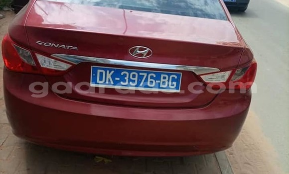 Dieundeu Occasion Hyundai Sonata Red Auto in Dakar in Dakar Dieundeu Occasion Hyundai Sonata Red Auto in Dakar in Dakar