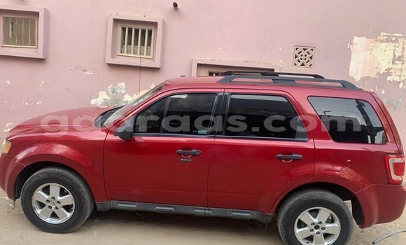 Dieundeu Occasion Ford Escape Red Auto in Dakar in Dakar Dieundeu Occasion Ford Escape Red Auto in Dakar in Dakar