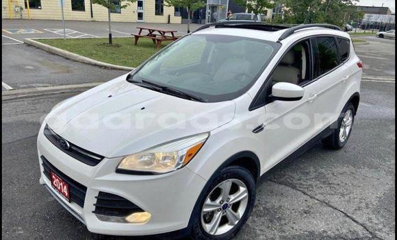 Acheter Import Voiture Ford Escape Blanc à Dakar, Dakar Acheter Import Voiture Ford Escape Blanc à Dakar, Dakar