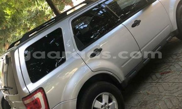 Acheter Occasion Voiture Ford Escape Gris à Dakar, Dakar Acheter Occasion Voiture Ford Escape Gris à Dakar, Dakar