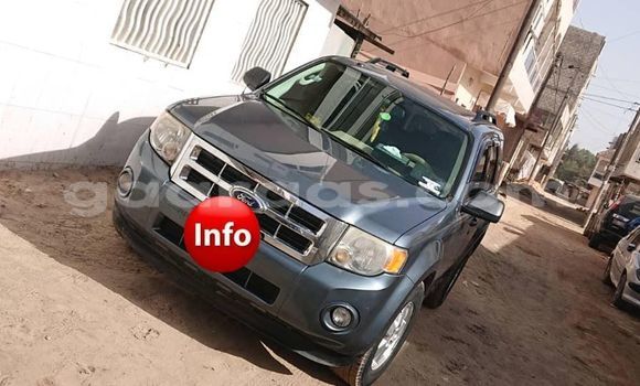 Dieundeu Occasion Ford Escape Blue Auto in Dakar in Dakar Dieundeu Occasion Ford Escape Blue Auto in Dakar in Dakar