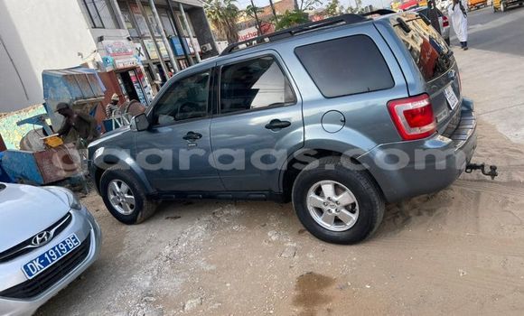 Dieundeu Occasion Ford Escape Blue Auto in Dakar in Dakar Dieundeu Occasion Ford Escape Blue Auto in Dakar in Dakar