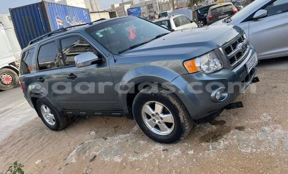 Dieundeu Occasion Ford Escape Blue Auto in Dakar in Dakar Dieundeu Occasion Ford Escape Blue Auto in Dakar in Dakar