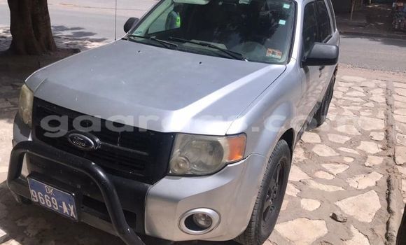 Dieundeu Occasion Ford Escape Silver Auto in Dakar in Dakar Dieundeu Occasion Ford Escape Silver Auto in Dakar in Dakar