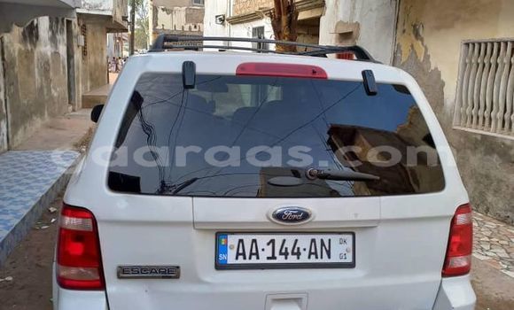 Dieundeu Occasion Ford Escape White Auto in Dakar in Dakar Dieundeu Occasion Ford Escape White Auto in Dakar in Dakar