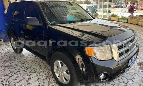 Buy Used Ford Escape Black Car in Dakar in Dakar Buy Used Ford Escape Black Car in Dakar in Dakar