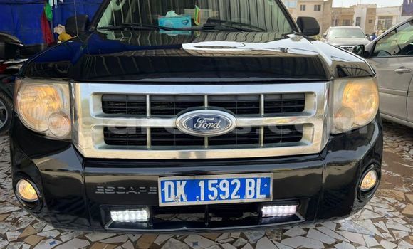 Buy Used Ford Escape Black Car in Dakar in Dakar Buy Used Ford Escape Black Car in Dakar in Dakar