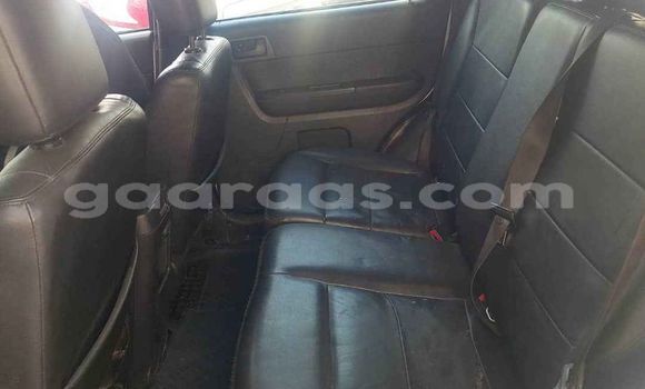 Dieundeu Occasion Ford Escape White Auto in Dakar in Dakar Dieundeu Occasion Ford Escape White Auto in Dakar in Dakar