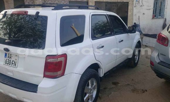 Dieundeu Occasion Ford Escape White Auto in Dakar in Dakar Dieundeu Occasion Ford Escape White Auto in Dakar in Dakar