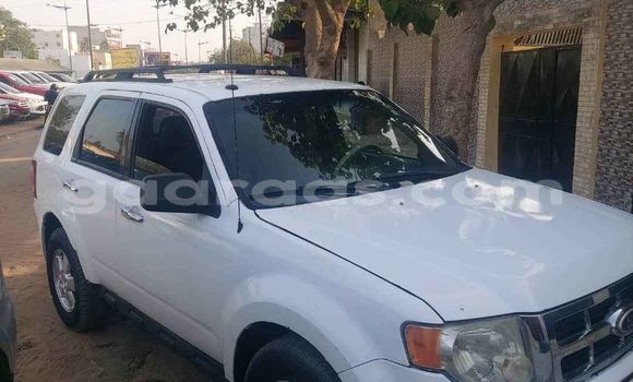 Dieundeu Occasion Ford Escape White Auto in Dakar in Dakar Dieundeu Occasion Ford Escape White Auto in Dakar in Dakar