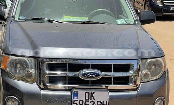 Dieundeu Occasion Ford Escape Blue Auto in Dakar in Dakar