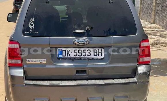 Dieundeu Occasion Ford Escape Blue Auto in Dakar in Dakar Dieundeu Occasion Ford Escape Blue Auto in Dakar in Dakar