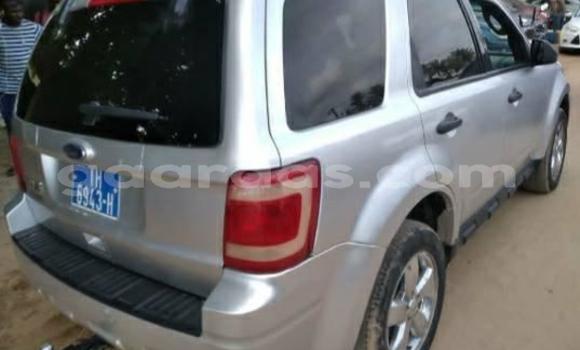 Dieundeu Occasion Ford Escape Silver Auto in Dakar in Dakar Dieundeu Occasion Ford Escape Silver Auto in Dakar in Dakar