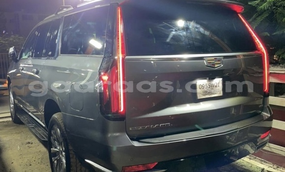 Buy Import Cadillac Escalade Other Car in Dakar in Dakar Buy Import Cadillac Escalade Other Car in Dakar in Dakar