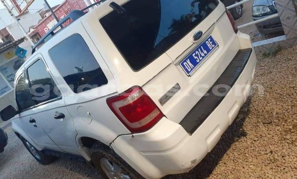 Buy Used Ford Escape White Car in Dakar in Dakar Buy Used Ford Escape White Car in Dakar in Dakar