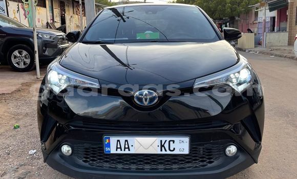 Dieundeu Occasion Toyota C-HR Brown Auto in Dakar in Dakar Dieundeu Occasion Toyota C-HR Brown Auto in Dakar in Dakar