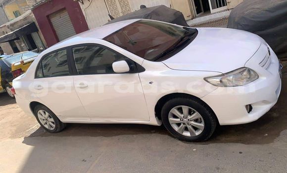 Acheter Occasion Voiture Toyota Corolla Blanc à Dakar, Dakar