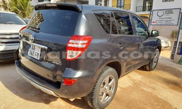 Buy used toyota rav4 black car in dakar in dakar - gaaraas