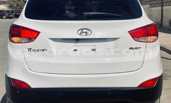 Dieundeu Occasion Hyundai Tucson White Auto in Dakar in Dakar Dieundeu Occasion Hyundai Tucson White Auto in Dakar in Dakar