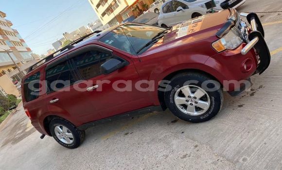 Dieundeu Occasion Ford Escape Red Auto in Dakar in Dakar