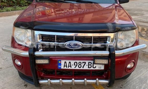 Dieundeu Occasion Ford Escape Red Auto in Dakar in Dakar Dieundeu Occasion Ford Escape Red Auto in Dakar in Dakar