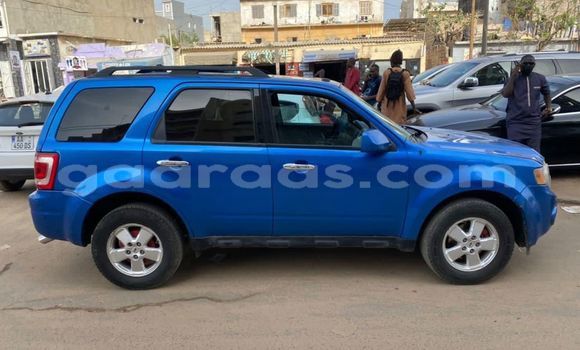 Dieundeu Occasion Ford Escape Blue Auto in Dakar in Dakar Dieundeu Occasion Ford Escape Blue Auto in Dakar in Dakar