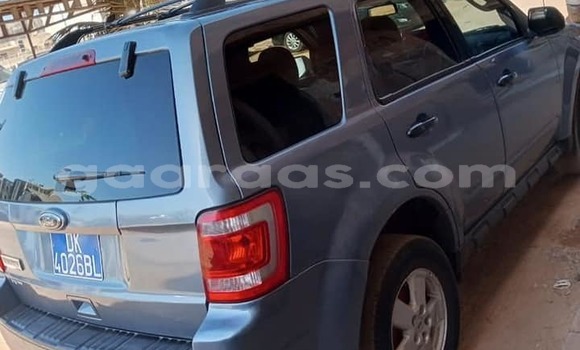 Dieundeu Occasion Ford Escape Blue Auto in Dakar in Dakar Dieundeu Occasion Ford Escape Blue Auto in Dakar in Dakar