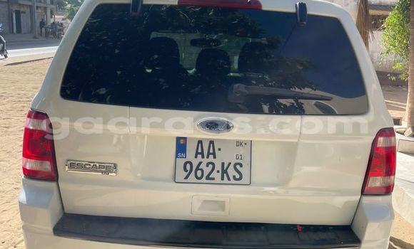 Acheter Occasion Voiture Ford Escape Blanc à Dakar, Dakar Acheter Occasion Voiture Ford Escape Blanc à Dakar, Dakar