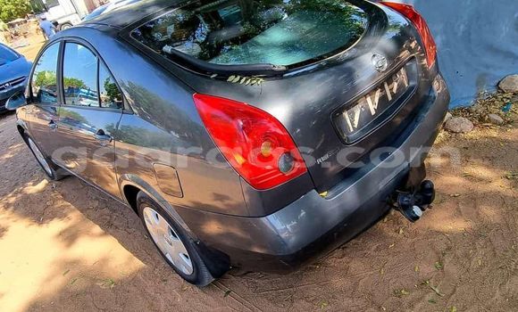 Dieundeu Occasion Nissan Primera Blue Auto in Touba in Diourbel Dieundeu Occasion Nissan Primera Blue Auto in Touba in Diourbel